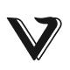 Viggle AI